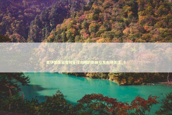 美伊紧张局势对全球市场的影响引发市场关注_9 新闻