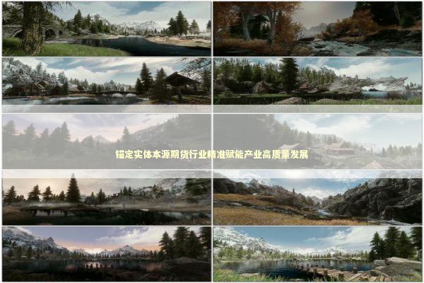 锚定实体本源期货行业精准赋能产业高质量发展 新闻