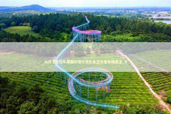 认识下这位私募圈的流行文化女王引发市场关注_9