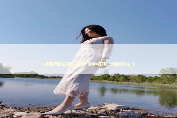 中国银行新任副行长落定：黄学玲获聘，待监管核准_6 新闻