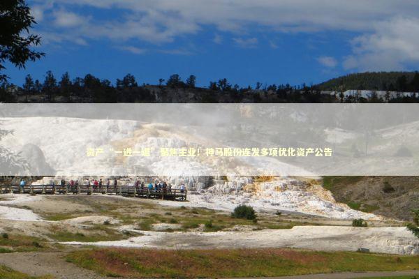 资产“一进一退”聚焦主业！神马股份连发多项优化资产公告 新闻