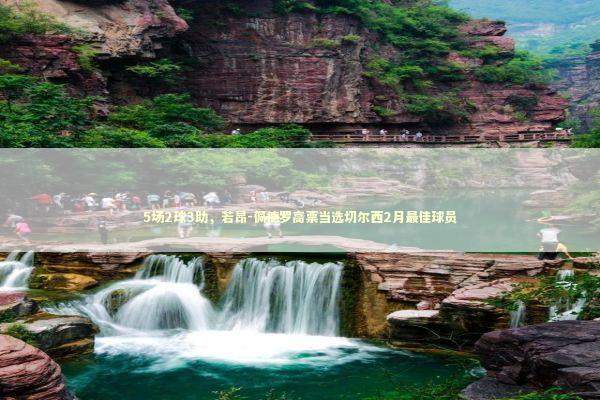 5场2球3助，若昂-佩德罗高票当选切尔西2月最佳球员 新闻