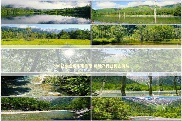 200亿央企退市引震荡 房地产行业何去何从 新闻