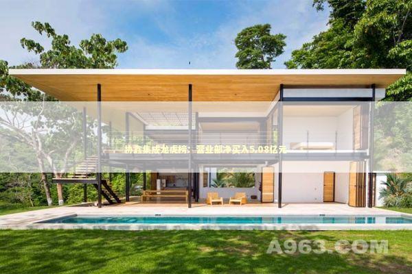 协鑫集成龙虎榜：营业部净买入5.08亿元 新闻