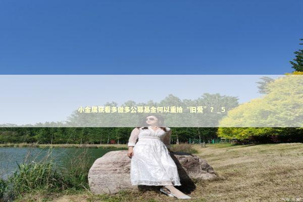 小金属获看多做多公募基金何以重拾“旧爱”？_5 新闻