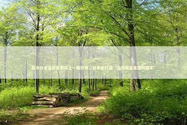 高市在全面扩军邪路上一路狂奔，日本欲打造“当代版高度国防国家” 新闻