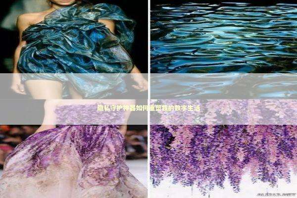 隐私守护神器如何重塑我的数字生活 新闻