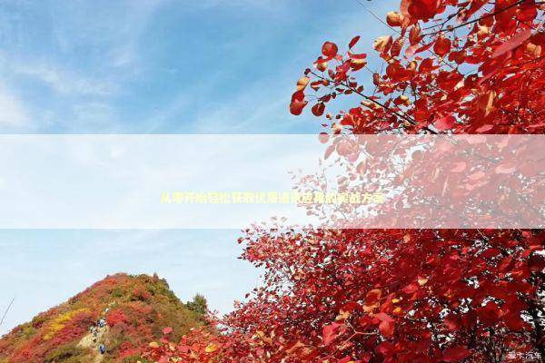 从零开始轻松获取优质通讯应用的实战方案 IT技术