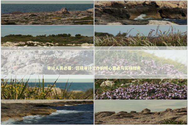 审计人员必看：区级审计工作的核心要点与实操指南 新闻