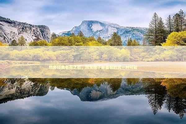 放弃经典老花之后，我发现了邮差包的另一种可能