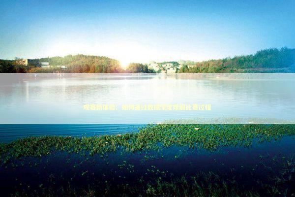 观赛新体验：如何通过数据深度理解比赛过程 体育新闻