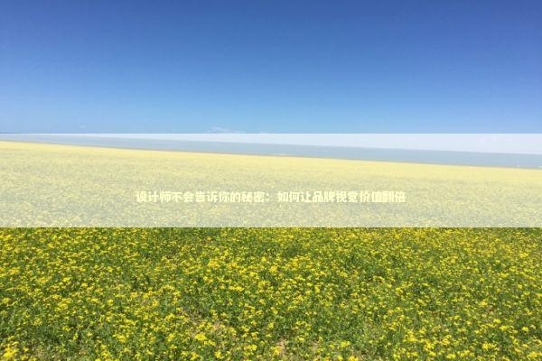 设计师不会告诉你的秘密：如何让品牌视觉价值翻倍 IT技术