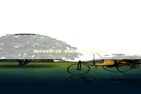 揭秘高端定制产业链：便宜的MK包到底是从哪里来的？ 时尚用品