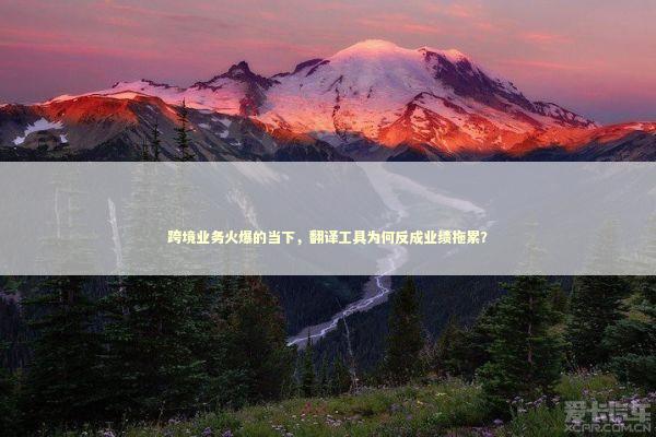 跨境业务火爆的当下，翻译工具为何反成业绩拖累？ 新闻