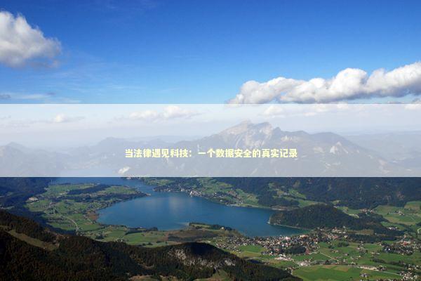 当法律遇见科技：一个数据安全的真实记录 IT技术