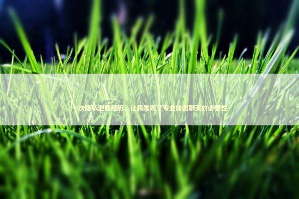 一次隐私泄露经历，让我发现了专业加密聊天的必要性 IT技术